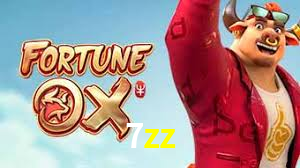 7zz.com